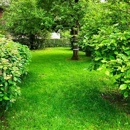 Apartma Tinkara Bled