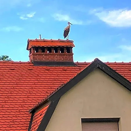 Apartma Tinkara