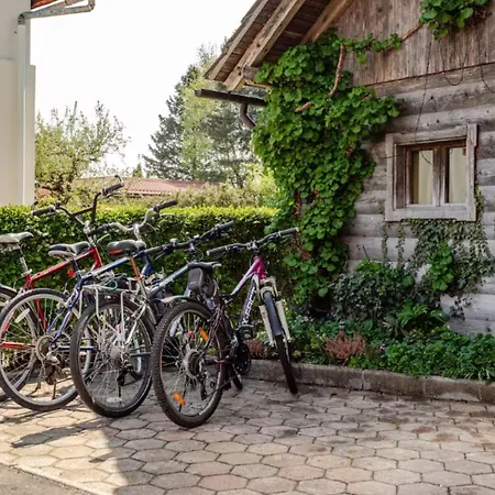 Apartma Tinkara Apartment Bled