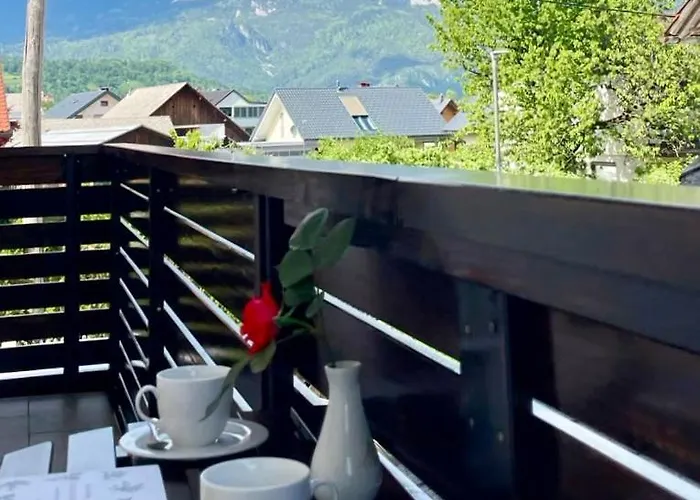 Apartma Tinkara 公寓 *