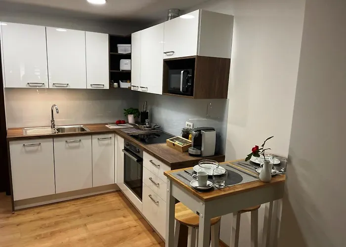 Apartma Tinkara 公寓 *