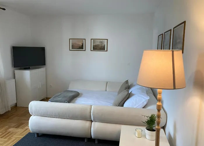 Apartma Tinkara 公寓 *