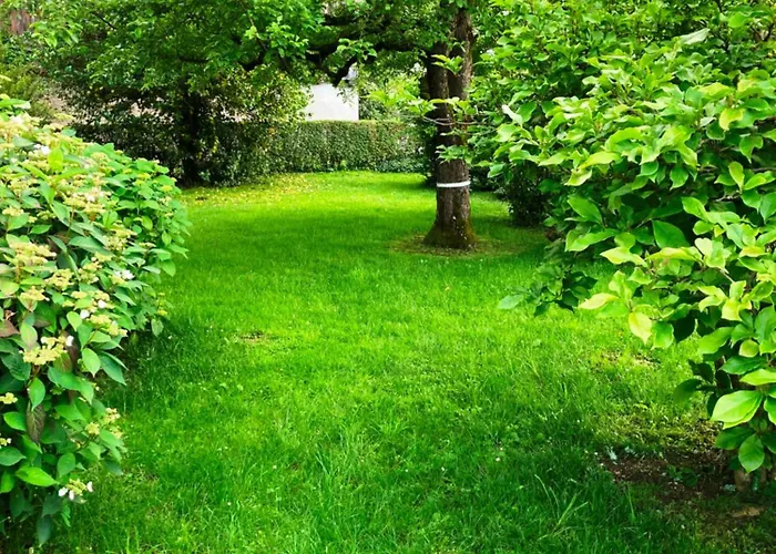 Apartma Tinkara 布莱德